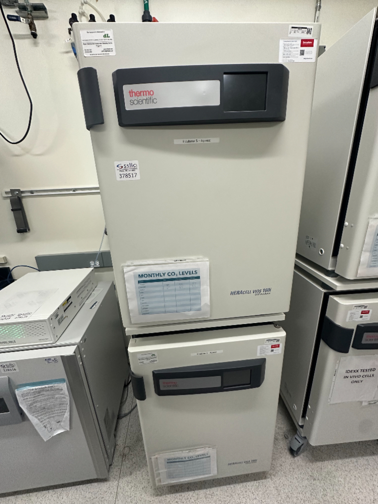 Image of Thermo HERAcell Vios 160i Double Stack CO2 Incubator